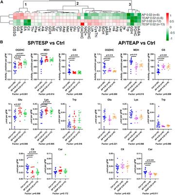 Administration of Phosphonate Inhibitors of Dehydrogenases of 2-Oxoglutarate and 2-Oxoadipate to Rats Elicits Target-Specific Metabolic and Physiological Responses